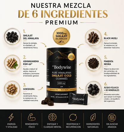 Shilajit Gold Gomitas 3000mg · 60 Gomitas